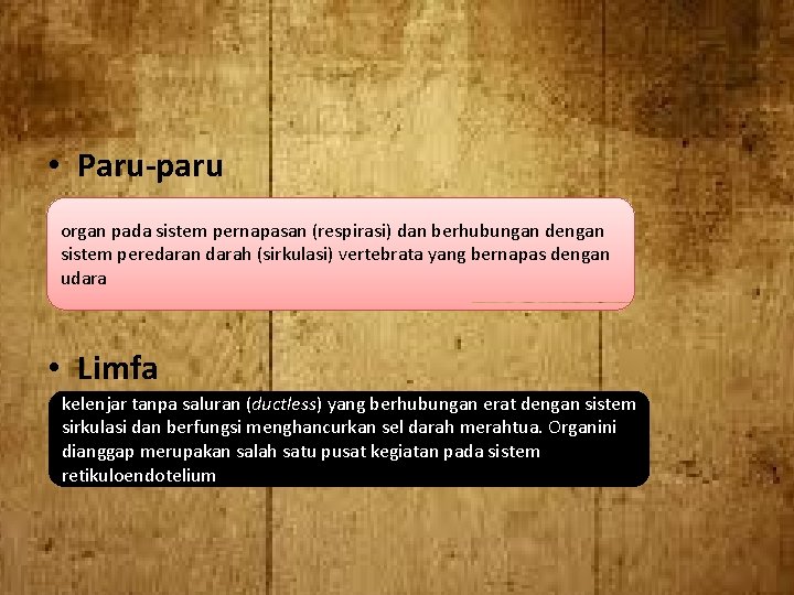  • Paru-paru organ pada sistem pernapasan (respirasi) dan berhubungan dengan sistem peredaran darah
