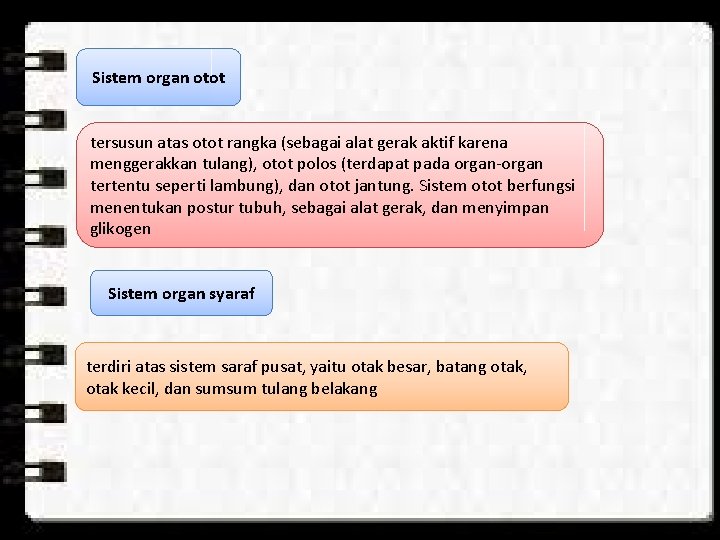 Sistem organ otot tersusun atas otot rangka (sebagai alat gerak aktif karena menggerakkan tulang),