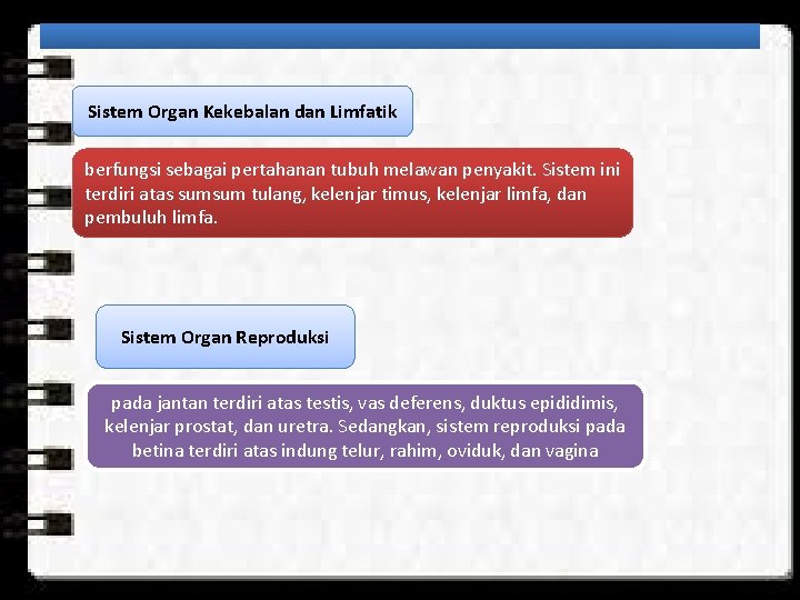 Sistem Organ Kekebalan dan Limfatik berfungsi sebagai pertahanan tubuh melawan penyakit. Sistem ini terdiri