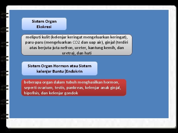 Sistem Organ Ekskresi meliputi kulit (kelenjar keringat mengeluarkan keringat), paru-paru (mengeluarkan CO 2 dan