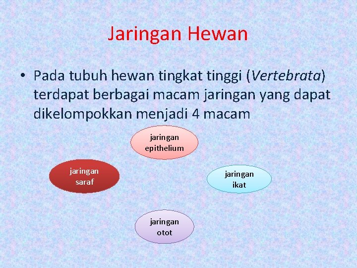 Jaringan Hewan • Pada tubuh hewan tingkat tinggi (Vertebrata) terdapat berbagai macam jaringan yang