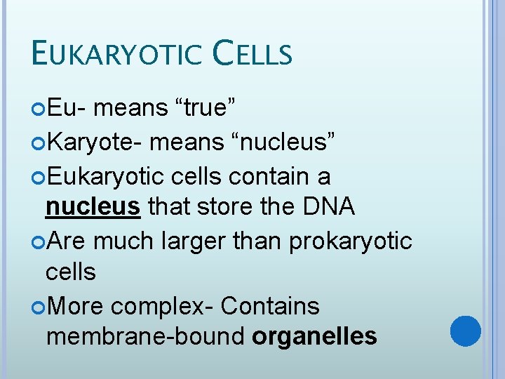 EUKARYOTIC CELLS Eu- means “true” Karyote- means “nucleus” Eukaryotic cells contain a nucleus that