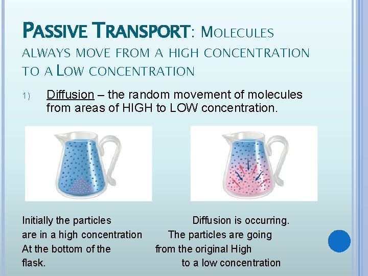 PASSIVE TRANSPORT: MOLECULES ALWAYS MOVE FROM A HIGH CONCENTRATION TO A LOW CONCENTRATION 1)