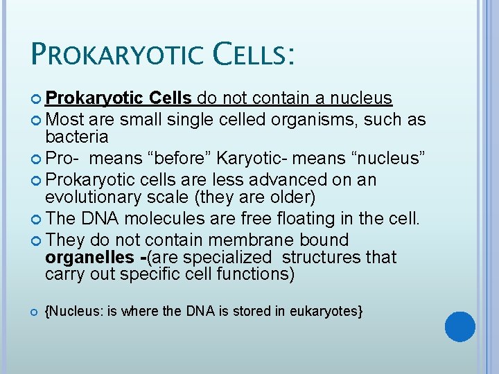 PROKARYOTIC CELLS: Prokaryotic Cells do not contain a nucleus Most are small single celled