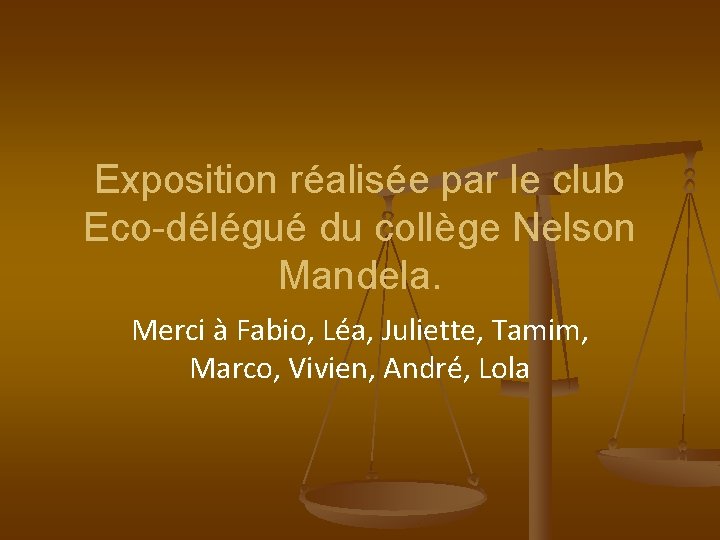 Exposition réalisée par le club Eco-délégué du collège Nelson Mandela. Merci à Fabio, Léa,