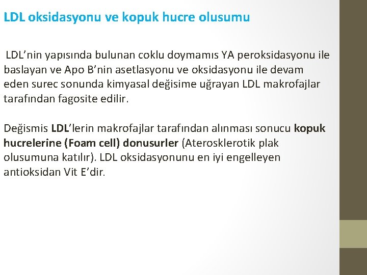 LDL oksidasyonu ve kopuk hucre olusumu LDL’nin yapısında bulunan coklu doymamıs YA peroksidasyonu ile