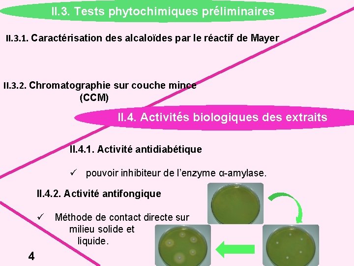 II. 3. Tests phytochimiques préliminaires II. 3. 1. Caractérisation des alcaloïdes par le réactif