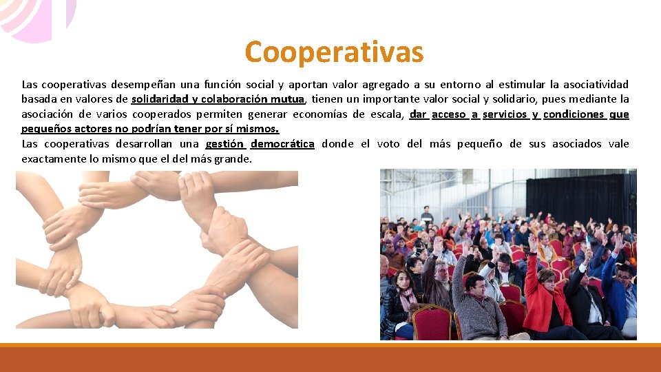 Cooperativas Las cooperativas desempeñan una función social y aportan valor agregado a su entorno