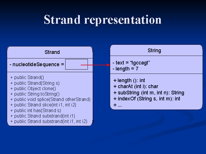Strand representation Strand - nucleotide. Sequence = + public. Strand() slice(int i 1, int