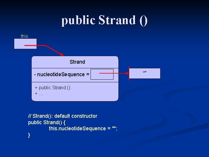 public Strand () this Strand - nucleotide. Sequence = + public Strand () +…