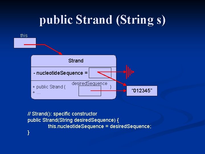 public Strand (String s) this Strand - nucleotide. Sequence = desired. Sequence + public