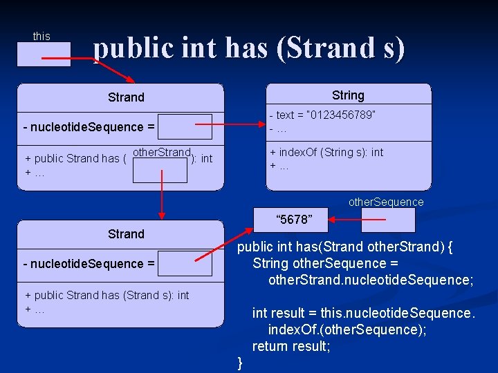this public int has (Strand s) String Strand - nucleotide. Sequence = - text
