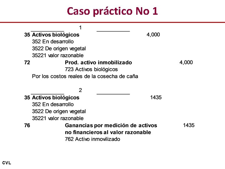 Caso práctico No 1 CVL 