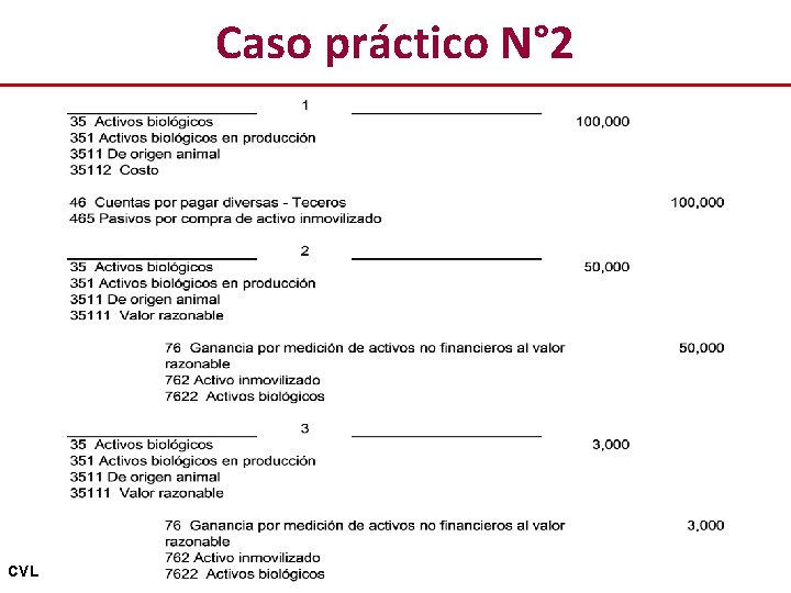 Caso práctico N° 2 CVL 