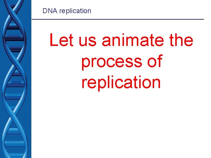DNA replication Let us animate the process of replication 