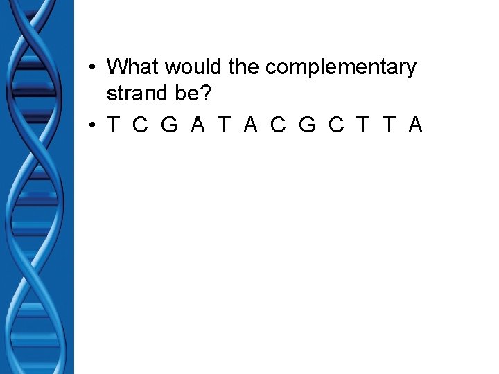  • What would the complementary strand be? • T C G A T