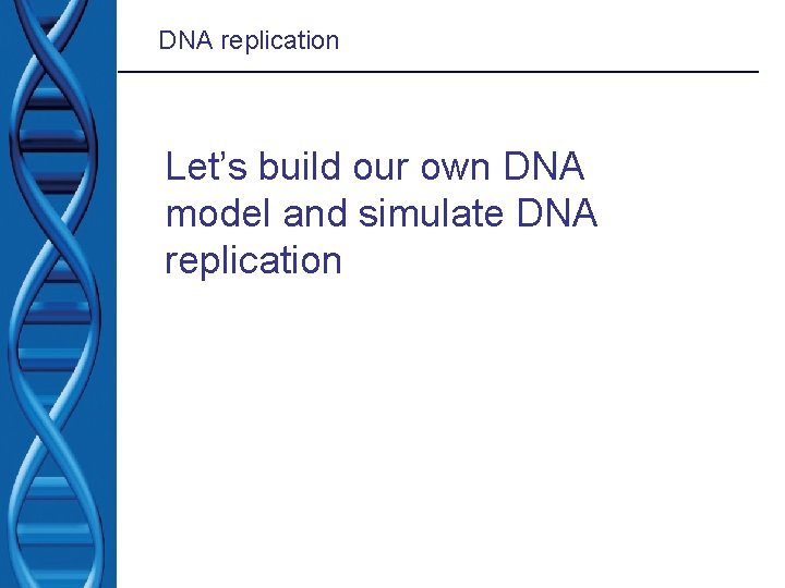 DNA replication Let’s build our own DNA model and simulate DNA replication 