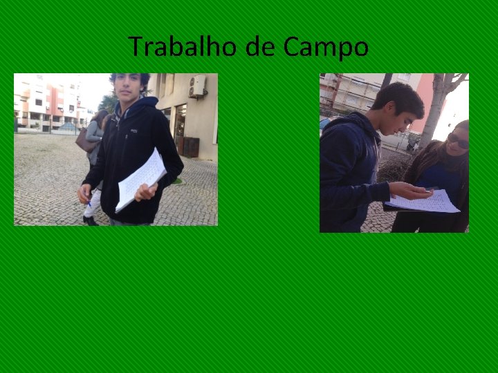 Trabalho de Campo 
