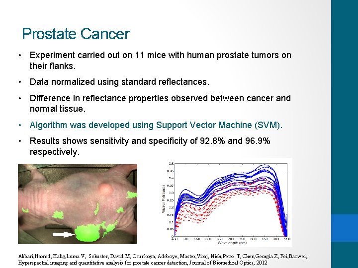 Prostate Cancer • Experiment carried out on 11 mice with human prostate tumors on