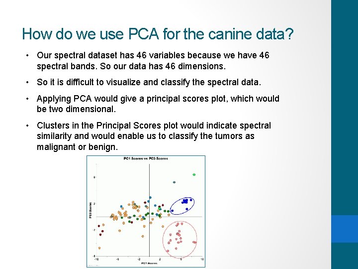 How do we use PCA for the canine data? • Our spectral dataset has