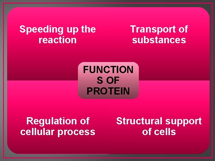 Speeding up the reaction Transport of substances FUNCTION S OF PROTEIN Regulation of cellular