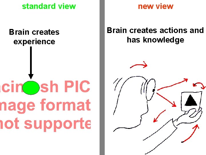 standard view Brain creates experience new view Brain creates actions and has knowledge 