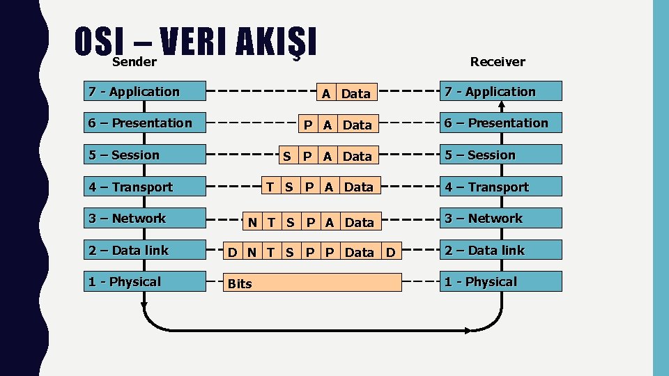 OSI – VERI AKIŞI Sender 7 - Application Receiver A Data 6 – Presentation