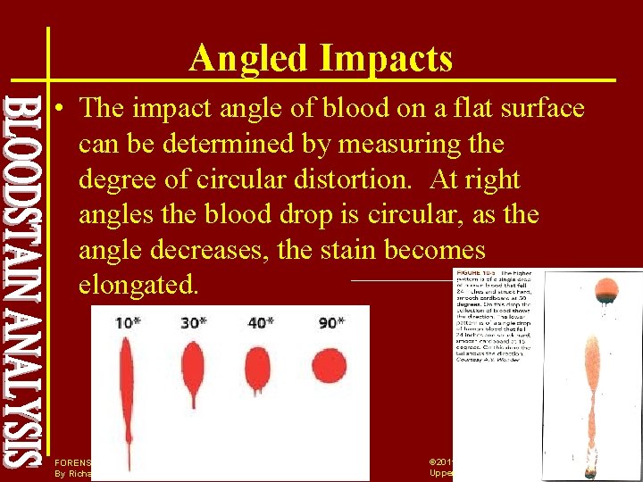 Angled Impacts • The impact angle of blood on a flat surface can be