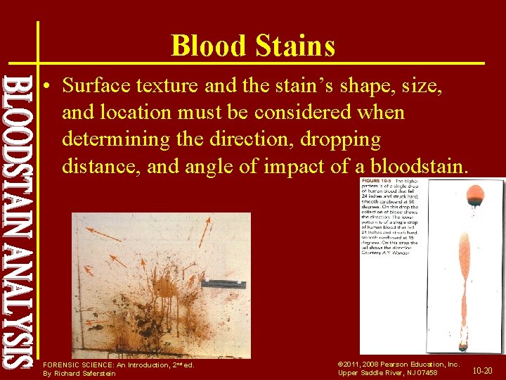 Blood Stains • Surface texture and the stain’s shape, size, and location must be