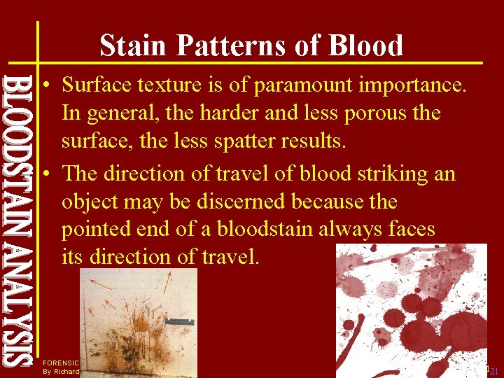 Stain Patterns of Blood • Surface texture is of paramount importance. In general, the