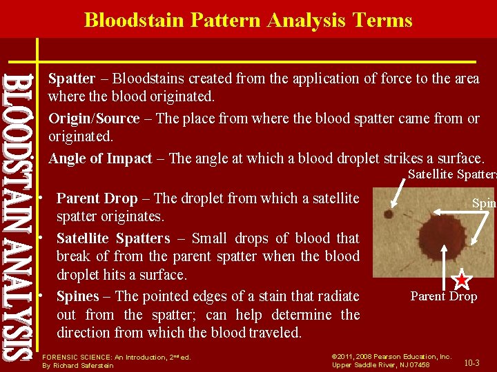 Bloodstain Pattern Analysis Terms • Spatter – Bloodstains created from the application of force