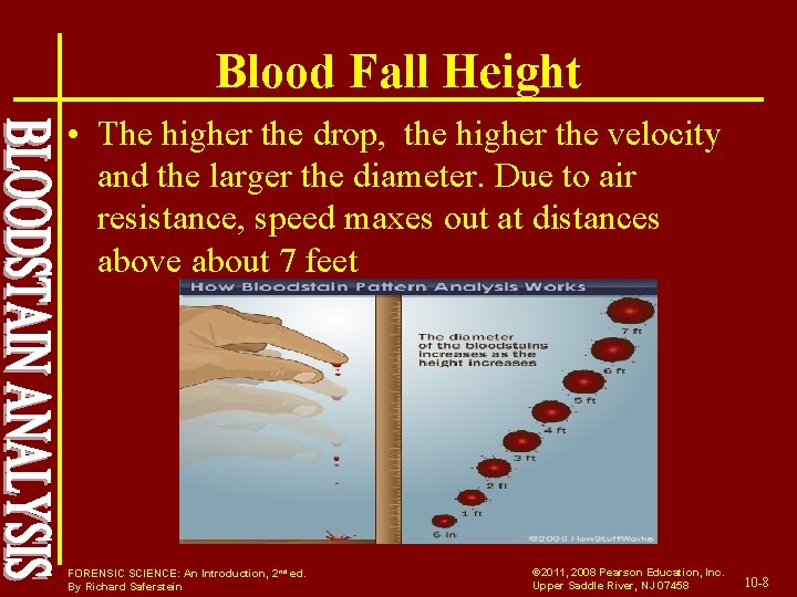 Blood Fall Height • The higher the drop, the higher the velocity and the