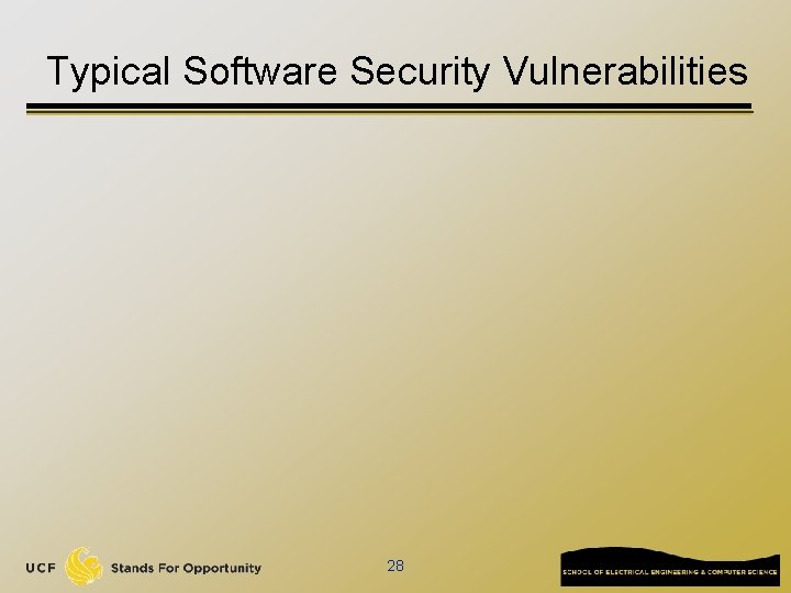 Typical Software Security Vulnerabilities 28 