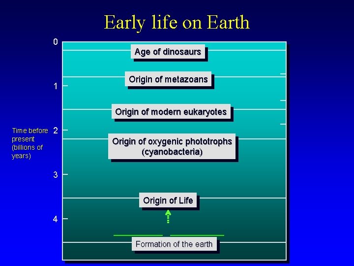 Early life on Earth 0 1 Age of dinosaurs Origin of metazoans Origin of