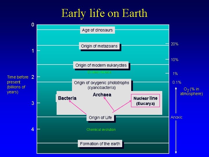 Early life on Earth 0 Age of dinosaurs 20% Origin of metazoans 1 10%