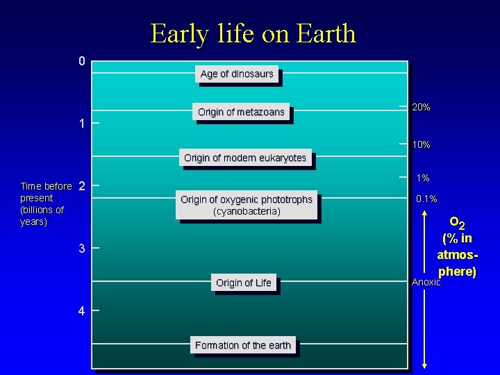 Early life on Earth 0 Age of dinosaurs 1 Origin of metazoans 20% 10%