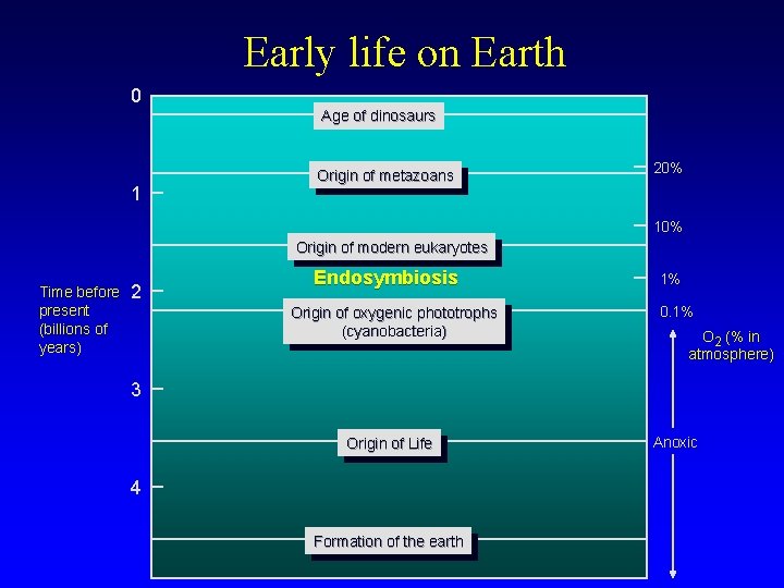 Early life on Earth 0 Age of dinosaurs 1 Origin of metazoans 20% 10%