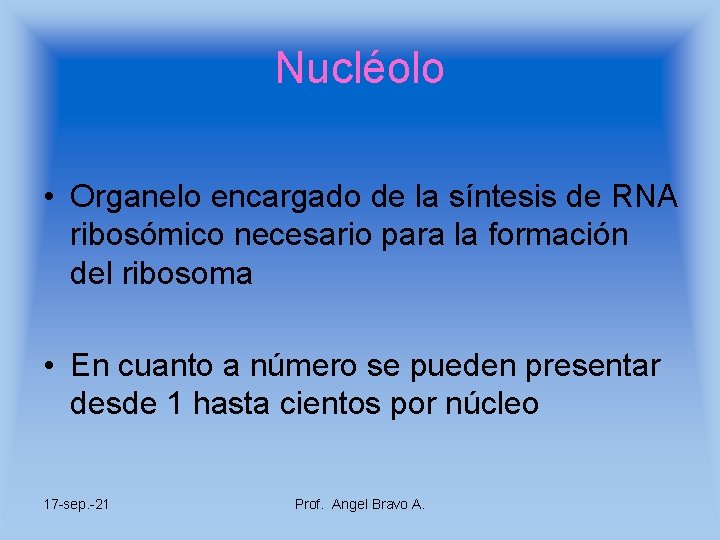 Nucléolo • Organelo encargado de la síntesis de RNA ribosómico necesario para la formación