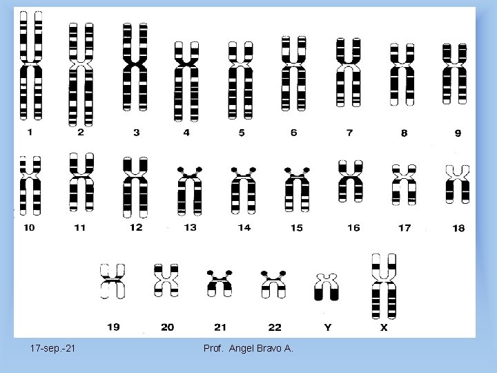 17 -sep. -21 Prof. Angel Bravo A. 
