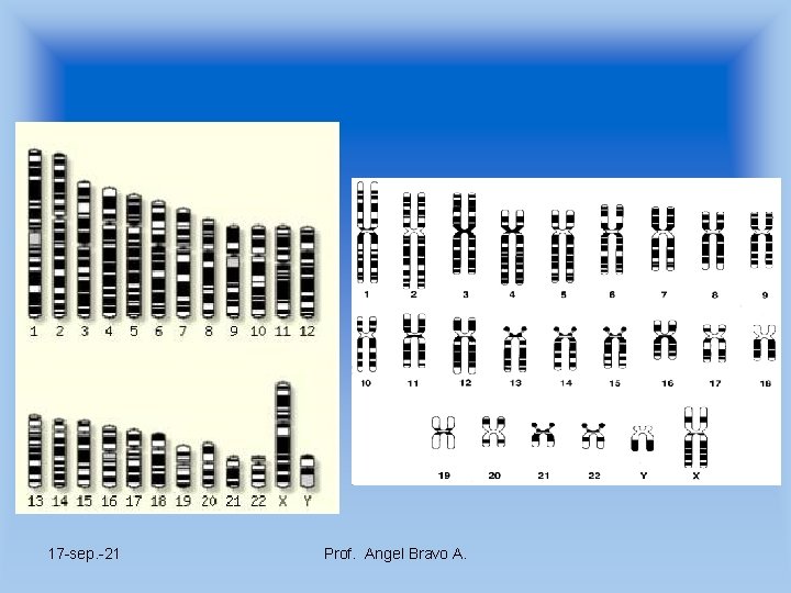 17 -sep. -21 Prof. Angel Bravo A. 