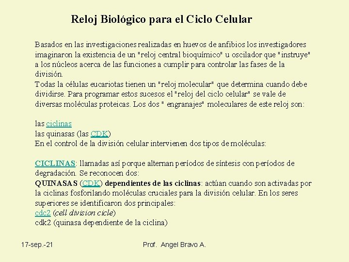 Reloj Biológico para el Ciclo Celular Basados en las investigaciones realizadas en huevos de