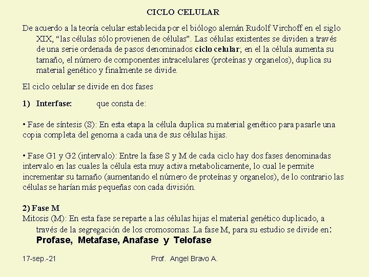 CICLO CELULAR De acuerdo a la teoría celular establecida por el biólogo alemán Rudolf