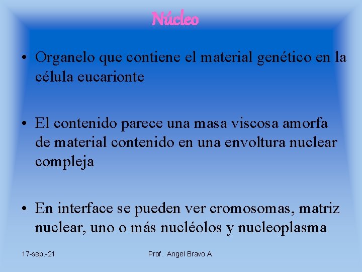 Núcleo • Organelo que contiene el material genético en la célula eucarionte • El