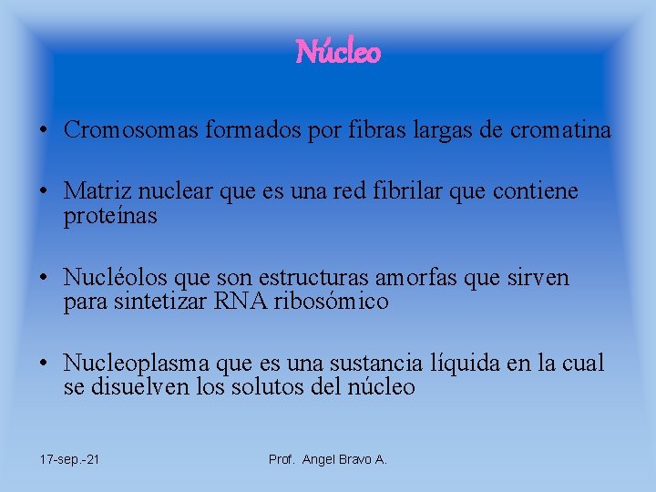 Núcleo • Cromosomas formados por fibras largas de cromatina • Matriz nuclear que es