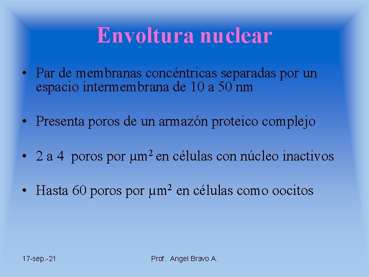 Envoltura nuclear • Par de membranas concéntricas separadas por un espacio intermembrana de 10