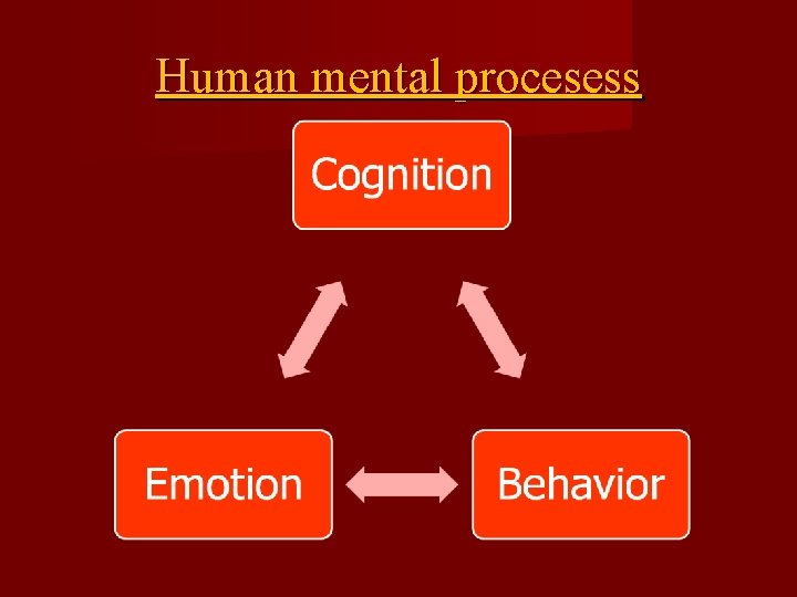 Human mental procesess 
