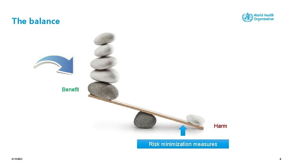 The balance Benefit Harm Risk minimization measures 2/13/2022 9 
