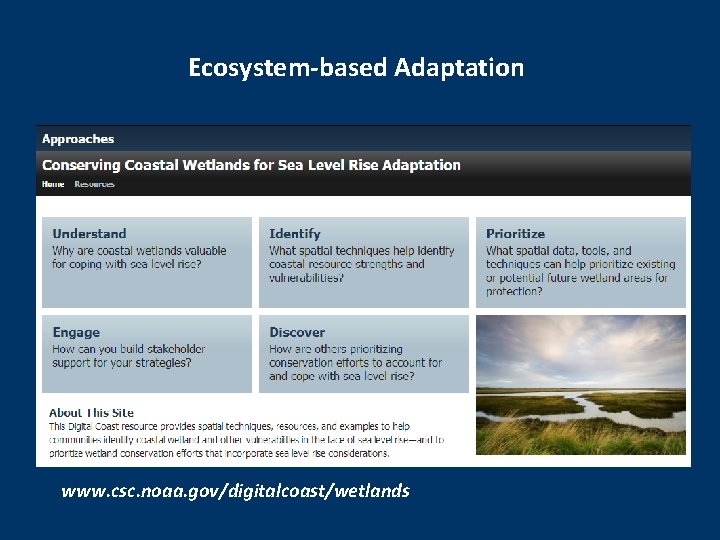 Ecosystem-based Adaptation www. csc. noaa. gov/digitalcoast/wetlands 