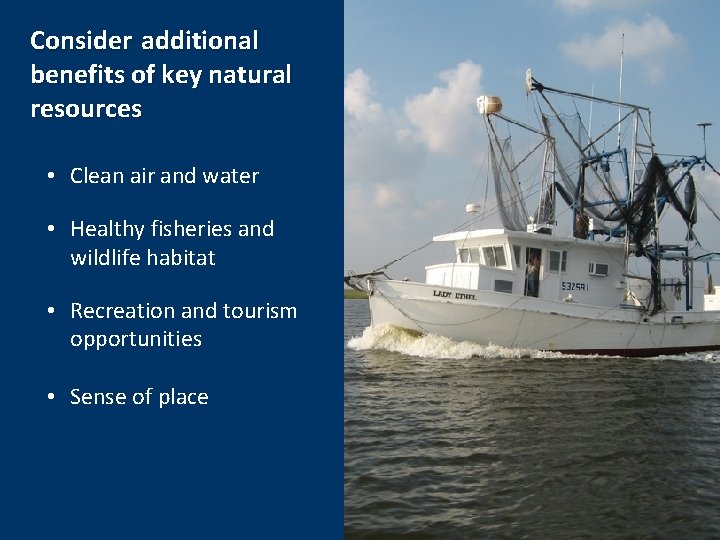 Consider additional benefits of key natural resources • Clean air and water • Healthy
