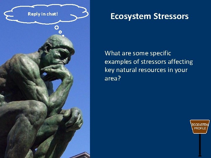 Reply in chat! Ecosystem Stressors What are some specific examples of stressors affecting key